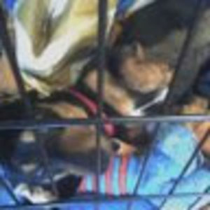 Meet your Posher, Gerald